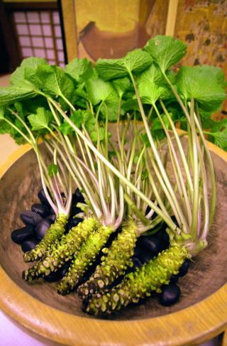 tiệc Wasabi tại biệt thự Shirakabe tiệc Wasabi tại biệt thự Shirakabe