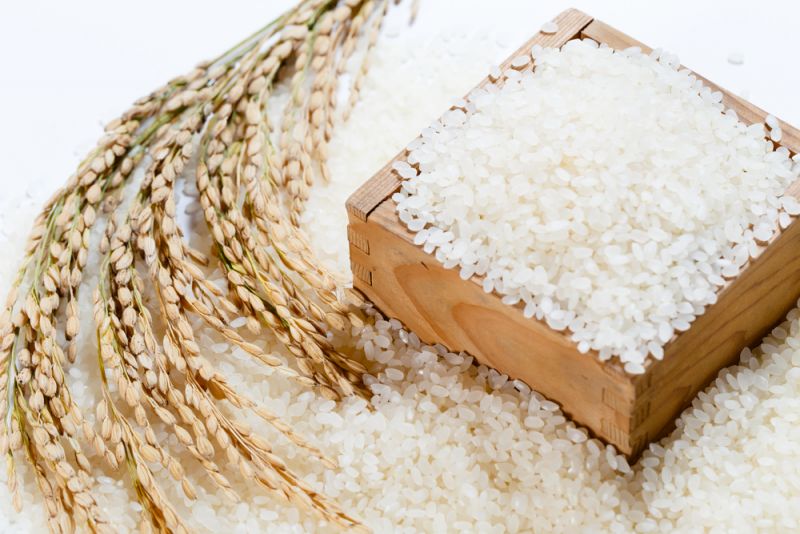 gạo Nhật có hạt tròn gạo Nhật có hạt tròn