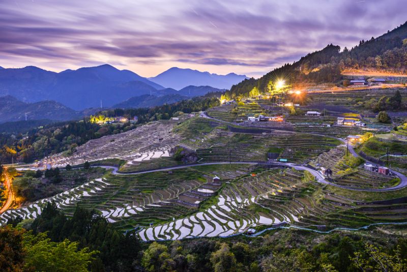 Ruộng bậc thang ở Kumano Ruộng bậc thang ở Kumano