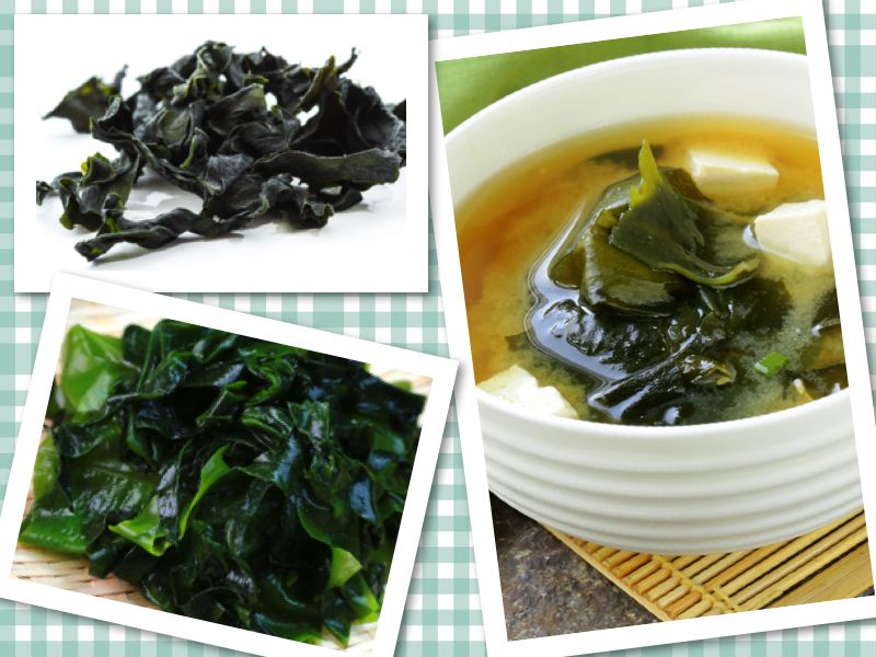 rong biển Wakame phổ biến nhất ở Nhật Bản rong biển Wakame phổ biến nhất ở Nhật Bản