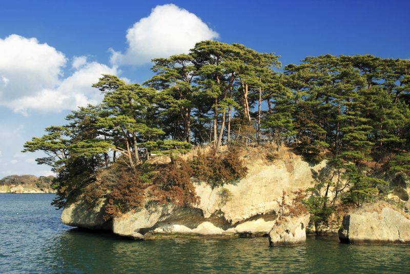 đảo thông ở vịnh matsushima đảo thông ở vịnh matsushima