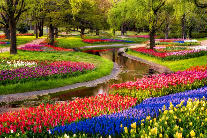 showa park showa park