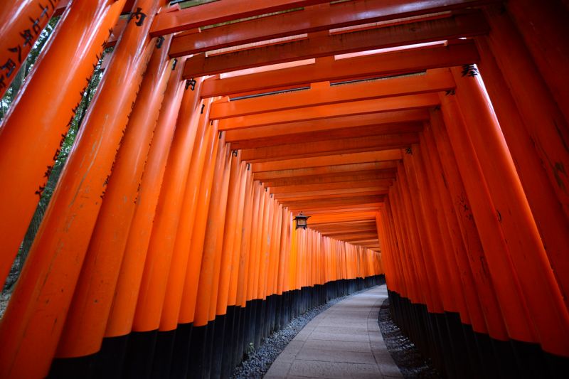 Fushimi Inari Fushimi Inari