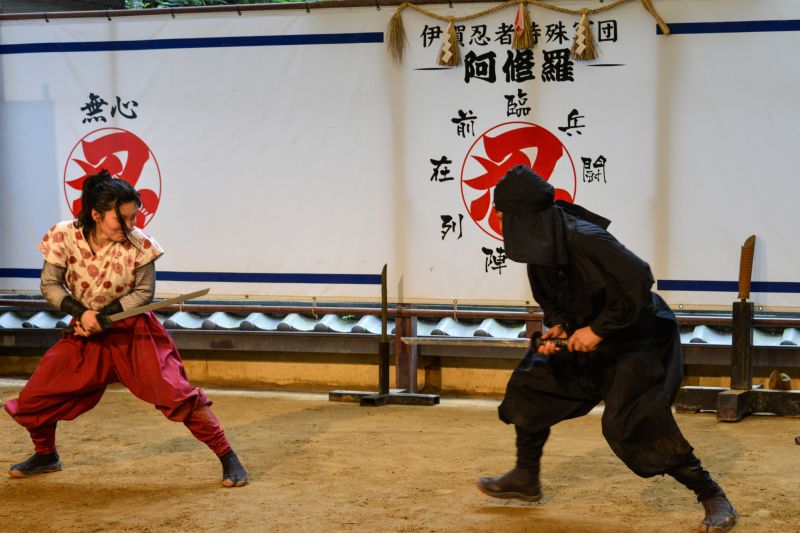 Ninja Ninja