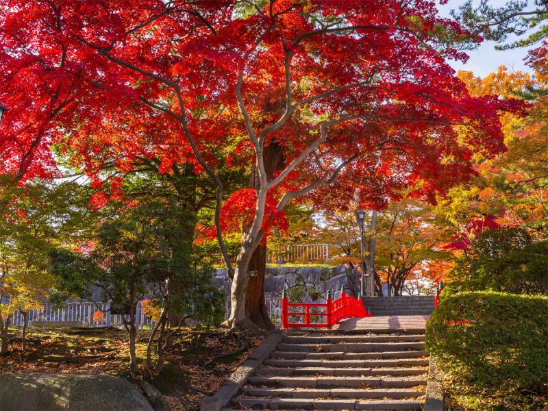 Công viên Morioka Công viên Morioka