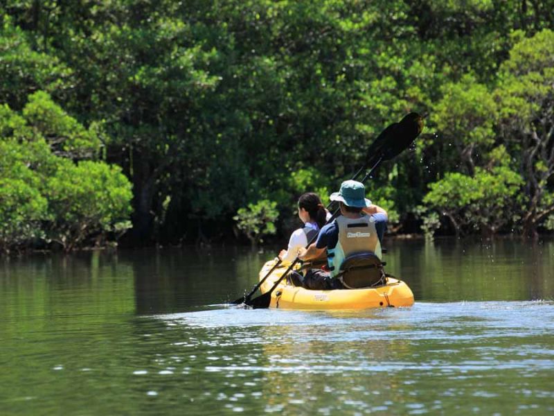 Đi thuyền Kayak vòng quanh hồ Đi thuyền Kayak vòng quanh hồ
