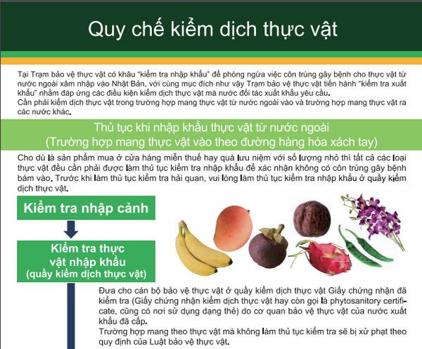 quy chế kiểm dịch thực phẩm quy chế kiểm dịch thực phẩm