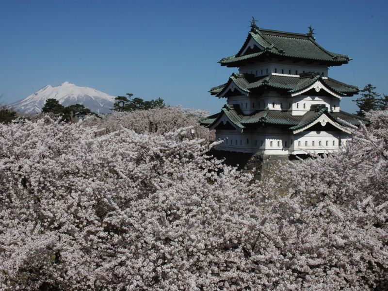 tòa thành Hirosaki ngay tại trung tâm tòa thành Hirosaki ngay tại trung tâm