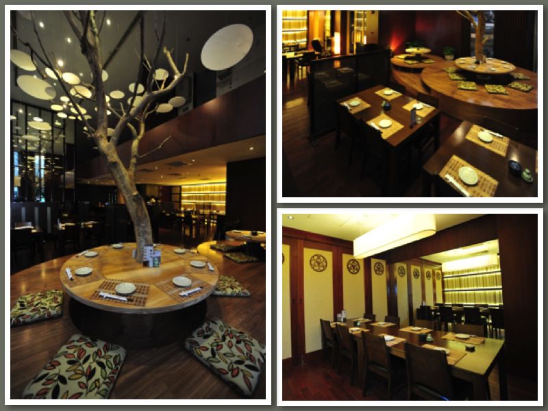 nội thất nhà hàng sushi dining AOI nội thất nhà hàng sushi dining AOI