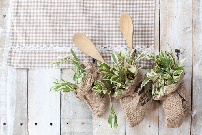 Cảm hứng ZAKKA Cảm hứng ZAKKA